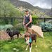 Guy Spina - Facebook