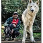 Oliver “the wolf guy” Starr - @ostarr - Instagram