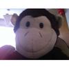 guy.stevens - @guy.stevens - TikTok