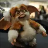 guyterry102 - @guyterry102 - TikTok