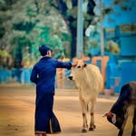Narasimha Ntr - @heart_hacker_guy_143_ - Instagram