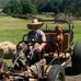 Guy Walsh - Facebook