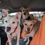 GuyWalsh - @officialguywalsh - Instagram