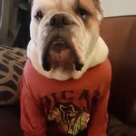 Guy Washburn - @guywashburn - Instagram