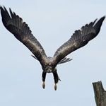 Guy Westbrook - @gwestbrook0316 - Instagram