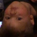 Hi - @that_one_whitfield_guy - Instagram