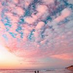 Whitney Guy_arbour - @whitney.guy_arbour.8 - Instagram