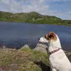 guywhittaker115 - @guywhittaker115 - TikTok