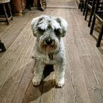 Guy Wilkinson - @guywilkinson7 - Instagram
