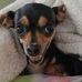 Willa Guy - Facebook