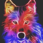 Habibo - @elias.guywolf - Instagram
