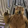 wolfguy - @wolfguy07 - TikTok