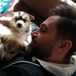 wolfie guy - @wolfieguy1980 - Instagram