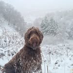 Guy Wood - @guywood_35 - Instagram