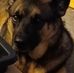 Guy Woods - Facebook