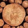 Wood guy - @woodguy2245 - TikTok