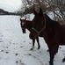 Guy Worthington - Facebook