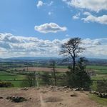 Guy Wright - @guy.wright183 - Instagram