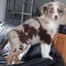 Guy Wright - Facebook