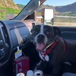 Guy Wysinger - @wysinger_guy - Instagram