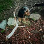 Guy William Yeager - @yeagerguy - Instagram