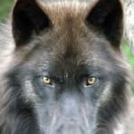 Guy Yeager - Facebook