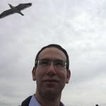 Guy Ziv - @guyziv76 - Instagram