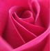 Gwen Benton - Facebook