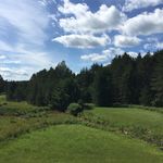 Gwen Bloom - @gwenmbloom - Instagram