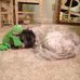 Gwen Boyce - Facebook