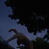gwen brooks - @gwen_._brooks - TikTok