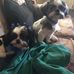 Gwen Chaney - Facebook