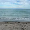 gwen - @gwen.charleston - TikTok