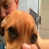 Gwen corker - @gwen20004 - TikTok