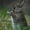 gwenconnelly781 - @gwenconnelly781 - TikTok
