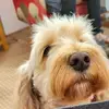 Gwen Nicholson-Edge - @gwen.nicholsonedg - TikTok