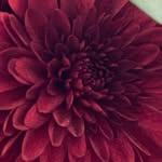 . - @gwenestep - Instagram