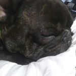 Gwen LeDoux Hebert - @gwenandkim - Instagram