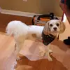 gwenjewellhyde - @gwenjewellhyde - TikTok