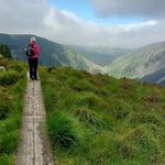 gwen johnston - @gwen.johnston7970 - Instagram