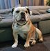 Gwen Johnston - Facebook