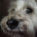 Gwen Logan - @gwen_stevie_and_chachi_logan - Instagram