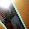 gwenlogan17 - @gwenlogan17 - TikTok
