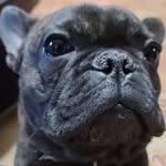 Gwen Lopez - @devils_sauces - Instagram