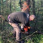 Gwen Places - @gwenplaces - Instagram