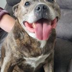 Gwen Spence - @gwen.spence.520 - Instagram