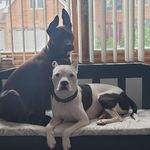 Gwen Spencer-Willis - @gwenspencer502019 - Instagram