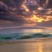 Gwendolyn Steiner - Facebook