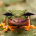 Gwen Stoddard - Facebook