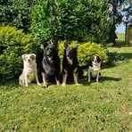 Gwen Todd - Facebook
